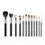 Sigma Beauty Essential Kit Set of 12 Brushes CK001 Sigma Beauty Essential Kit Set of 12 Brushes CK001