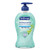 Softsoap AB Hand Soap, Fresh Citrus, 11 1/4 oz Pump Bottle Softsoap AB Hand Soap, Fresh Citrus, 11 1/4 oz Pump Bottle
