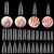 Beetles Poly Extension Gel Dual Nail Form - 120 Pcs Builder Nail Gel Flat Stiletto Nail Molds Coffin False Nail Tips for Gel Manicure Christmas Nail Art Design Salon DIY at Home Beetles Poly Extension Gel Dual Nail Form - 120 Pcs Builder Nail Gel Flat Stiletto Nail Molds Coffin False Nail Tips for Gel Manicure Christmas Nail Art Design Salon DIY at Home