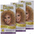 7GB Bigen Easy Color for Women LT Golden Blonde - 3 Pack 7GB Bigen Easy Color for Women LT Golden Blonde - 3 Pack