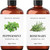 Brooklyn Botany Peppermint Essential Oil Rosemary Essential Oil Set 100 Pure Natural 4 Fl Oz Therapeutic Grade Essential Oil with Glass Dropper Essential Oil for Aromatherapy and Diffuser Brooklyn Botany Peppermint Essential Oil Rosemary Essential Oil Set 100 Pure Natural 4 Fl Oz Therapeutic Grade Essential Oil with Glass Dropper Essential Oil for Aromatherapy and Diffuser
