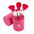 Coastal Scents Primrose Brush Collection Coastal Scents Primrose Brush Collection