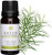 Kaeso Aromatherapy Essential Oil, Tea Tree 10 ml Kaeso Aromatherapy Essential Oil, Tea Tree 10 ml