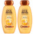 Garnier Whole Blends Honey Treasures Repairing Shampoo for Dry Damaged Hair, 22 Fl Oz (Pack of 2) Garnier Whole Blends Honey Treasures Repairing Shampoo for Dry Damaged Hair, 22 Fl Oz (Pack of 2)