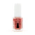 NAIL ARCHITECT NAIL ARCHITECT