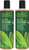 Desert Essence Tea Tree Replenishing Shampoo - 12.7 Fl Ounce - Pack of 2 - Therapeutic - Peppermint & Yucca - Antibacterial - Restore & Nurture Hair - Reduce Flaking - All Skin Types Desert Essence Tea Tree Replenishing Shampoo - 12.7 Fl Ounce - Pack of 2 - Therapeutic - Peppermint & Yucca - Antibacterial - Restore & Nurture Hair - Reduce Flaking - All Skin Types