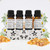 4 Pack Essential Oil Set, 100% Pure Natural Aromatherapy Best Therapeutic Grade Essential Oils(Jasmine,Chamomile, Sandalwood, Frankincense) 4 Pack Essential Oil Set, 100% Pure Natural Aromatherapy Best Therapeutic Grade Essential Oils(Jasmine,Chamomile, Sandalwood, Frankincense)