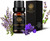Aromatherapy Clary Sage Essential Oil, Therapeutic Grade Clary Sage Aromatherapy Essential Oil Fragrance, 100% Pure Clary Sage Scent Essential Oil for Diffuser, Humidifier, Massage 0.33 oz - 10ml Aromatherapy Clary Sage Essential Oil, Therapeutic Grade Clary Sage Aromatherapy Essential Oil Fragrance, 100% Pure Clary Sage Scent Essential Oil for Diffuser, Humidifier, Massage 0.33 oz - 10ml