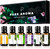 Essential oils by PURE AROMA 100% Pure Therapeutic Grade Oils kit- Top 6 Aromatherapy Oils Gift Set-6 Pack, 10ML(Eucalyptus, Lavender, Lemon grass, Orange, Peppermint, Tea Tree) Essential oils by PURE AROMA 100% Pure Therapeutic Grade Oils kit- Top 6 Aromatherapy Oils Gift Set-6 Pack, 10ML(Eucalyptus, Lavender, Lemon grass, Orange, Peppermint, Tea Tree)