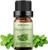Peppermint Essential Oil 10ML, 100% Pure & Natural Organic Peppermint Essential Oil, Aromatherapy Oil For Diffuser, Bath, Peppermint Massage Oils Peppermint Essential Oil 10ML, 100% Pure & Natural Organic Peppermint Essential Oil, Aromatherapy Oil For Diffuser, Bath, Peppermint Massage Oils