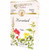 Organic Horsetail Tea 24 Bags By Celebration Herbals Organic Horsetail Tea 24 Bags By Celebration Herbals