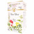 Organic Uva Ursi Tea 24 Bags By Celebration Herbals Organic Uva Ursi Tea 24 Bags By Celebration Herbals