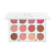 ofracosmetics PRO PALETTE - BLUSH ofracosmetics PRO PALETTE - BLUSH