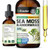 BIO KRAUTER Ginkgo Biloba Extract - Liquid Brain Supplement For Memory And Focus - Organic Ginkgo Biloba Leaf Tincture - Vegan, Alcohol & Sugar Free Drops 2 Fl Oz BIO KRAUTER Ginkgo Biloba Extract - Liquid Brain Supplement For Memory And Focus - Organic Ginkgo Biloba Leaf Tincture - Vegan, Alcohol & Sugar Free Drops 2 Fl Oz