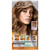 L'Oreal Paris Feria Permanent Hair Color 63 Sparkling Amber (Light Golden Brown) (Pack Of 6) L'Oreal Paris Feria Permanent Hair Color 63 Sparkling Amber (Light Golden Brown) (Pack Of 6)