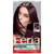 L'Oreal Paris Feria Multi-Faceted Shimmering Colour Warmer 36 Deep Burgundy Brown 1 Ea Pack Of 4 L'Oreal Paris Feria Multi-Faceted Shimmering Colour Warmer 36 Deep Burgundy Brown 1 Ea Pack Of 4