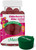 Maxi Health Elderberry Zinc Gummies - Organic Sambucus Elderberry Gummies w/Zinc and Vitamin C - Vegan Immune Support for Adults and Kids - 60 Gummies - with Green Pillbox Maxi Health Elderberry Zinc Gummies - Organic Sambucus Elderberry Gummies w/Zinc and Vitamin C - Vegan Immune Support for Adults and Kids - 60 Gummies - with Green Pillbox