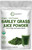 Micro Ingredients Organic Barley Grass Juice Powder 10 Ounce Cold Pressed US Grown Rich in Immune Vitamin Fibers Minerals Antioxidants and Protein Support Immune System and Digestion Vegan Micro Ingredients Organic Barley Grass Juice Powder 10 Ounce Cold Pressed US Grown Rich in Immune Vitamin Fibers Minerals Antioxidants and Protein Support Immune System and Digestion Vegan