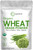 Micro Ingredients Sustainably US Grown Organic Wheat Grass Powder (100% Whole-Leaf) 16 Ounce Rich in Immune Vitamins Fibers and Minerals Support Digestion Function Vegan Friendly Micro Ingredients Sustainably US Grown Organic Wheat Grass Powder (100% Whole-Leaf) 16 Ounce Rich in Immune Vitamins Fibers and Minerals Support Digestion Function Vegan Friendly
