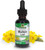 Nature'S Answer Mullein Drops for Lungs Alcohol- Mullein Tea 1 Ounce Mullein Leaf Extract for Lungs Supports Respiratory Function Promotes Healthy Lungs Non-GMO Made in USA Nature'S Answer Mullein Drops for Lungs Alcohol- Mullein Tea 1 Ounce Mullein Leaf Extract for Lungs Supports Respiratory Function Promotes Healthy Lungs Non-GMO Made in USA