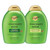 Ogx Bundle: Clarifying Strength + Rosemary Mint Shampoo & Conditioner 13 Fl. Oz Each. Visibly Removes Oil & Residue To Clear Buildup From Oily Hair. Sulfate- Surfactants For Fresh Healthy Hair. Ogx Bundle: Clarifying Strength + Rosemary Mint Shampoo & Conditioner 13 Fl. Oz Each. Visibly Removes Oil & Residue To Clear Buildup From Oily Hair. Sulfate- Surfactants For Fresh Healthy Hair.