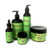 Mielle Organics Rosemary Mint Organics Infused With Biotin And Encourages Growth Hair Products For Stronger And Healthier Hair And Styling Bundle Set 5 Pcs Mielle Organics Rosemary Mint Organics Infused With Biotin And Encourages Growth Hair Products For Stronger And Healthier Hair And Styling Bundle Set 5 Pcs