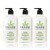 Hempz Original Natural Hemp Seed Oil Body Moisturizer With Shea Butter And Ginseng 17 Fl Oz 3 Pack Bundle - Pure Herbal Skin Lotion For Dryness - Nourishing Vegan Body Cream In Floral And Banana Hempz Original Natural Hemp Seed Oil Body Moisturizer With Shea Butter And Ginseng 17 Fl Oz 3 Pack Bundle - Pure Herbal Skin Lotion For Dryness - Nourishing Vegan Body Cream In Floral And Banana