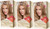 Revlon Colorsilk Color Effects Frost And Glow Highlights Honey 3 Count Revlon Colorsilk Color Effects Frost And Glow Highlights Honey 3 Count
