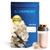 Blueprint Bryan Johnson Hemp Protein - 27G Plant Protein - Vanilla (15 Servings)
