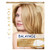 Clairol Nice'N Easy Balayage Permanent Hair Dye Blondes Hair Color Pack Of 1 Clairol Nice'N Easy Balayage Permanent Hair Dye Blondes Hair Color Pack Of 1