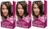 Revlon Colorsilk Luminista Haircolor Dark Golden Brown 3 Count Revlon Colorsilk Luminista Haircolor Dark Golden Brown 3 Count