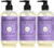 Mrs. Meyer'S Clean Day Liquid Hand Soap Lilac Scent 12.5 Ounce Bottle (Pack Of 3) Mrs. Meyer'S Clean Day Liquid Hand Soap Lilac Scent 12.5 Ounce Bottle (Pack Of 3)