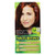 Naturtint Permanent Hair Color 5C Light Copper Chestnut - 5.45 Fl Oz Naturtint Permanent Hair Color 5C Light Copper Chestnut - 5.45 Fl Oz