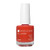 Dazzle Dry Nail Lacquer (Step 3) - Sweet And Juicy - A Sheer Poppy Orange. Jelly. Sheer. (0.5 Fl Oz) Dazzle Dry Nail Lacquer (Step 3) - Sweet And Juicy - A Sheer Poppy Orange. Jelly. Sheer. (0.5 Fl Oz)