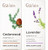 Gya Labs Cedarwood Oil For Hair & Lavender Essential Oil For Diffuser Set - 100% Natural Aromatherapy Grade Essential Oils Set - 2X0.34 Fl Oz - Gya Labs Gya Labs Cedarwood Oil For Hair & Lavender Essential Oil For Diffuser Set - 100% Natural Aromatherapy Grade Essential Oils Set - 2X0.34 Fl Oz - Gya Labs