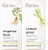 Gya Labs Angelica Root Oil For Uplifts Moods & Lemongrass Essential Oil For Diffuser Set - 100% Natural Aromatherapy Grade Essential Oils Set - 2X10Ml - Gya Labs Gya Labs Angelica Root Oil For Uplifts Moods & Lemongrass Essential Oil For Diffuser Set - 100% Natural Aromatherapy Grade Essential Oils Set - 2X10Ml - Gya Labs