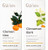 Gya Labs Clementine Essential Oil Diffuser & Cinnamon Essential Oil For Diffuser Set - 100% Natural Aromatherapy Grade Essential Oils Set - 2X0.34 Fl Oz - Gya Labs Gya Labs Clementine Essential Oil Diffuser & Cinnamon Essential Oil For Diffuser Set - 100% Natural Aromatherapy Grade Essential Oils Set - 2X0.34 Fl Oz - Gya Labs