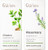 Gya Labs Cilantro Essential Oil Diffusers & Rosemary Oil For Hair Set - 100% Natural Aromatherapy Grade Essential Oils Set - 2X0.34 Fl Oz Gya Labs Cilantro Essential Oil Diffusers & Rosemary Oil For Hair Set - 100% Natural Aromatherapy Grade Essential Oils Set - 2X0.34 Fl Oz