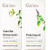 Gya Labs Vanilla Essential Oil For Diffuser & Patchouli Oil For Diffuser Set - Natural Aromatherapy Grade Essential Oils Set - 2X0.34 Fl Oz - Gya Labs Gya Labs Vanilla Essential Oil For Diffuser & Patchouli Oil For Diffuser Set - Natural Aromatherapy Grade Essential Oils Set - 2X0.34 Fl Oz - Gya Labs