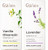 Gya Labs Vanilla Essential Oil For Skin & Lavender Essential Oil For Diffuser Set - 100% Natural Aromatherapy Grade Essential Oils Set - 2X0.34 Fl Oz - Gya Labs
