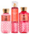 Bath & Body Works - Champagne Toast - Daily Trio - Shower Gel Fine Fragrance Mist & Super Smooth Body Lotion (Packaging Varies) Bath & Body Works - Champagne Toast - Daily Trio - Shower Gel Fine Fragrance Mist & Super Smooth Body Lotion (Packaging Varies)