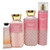Bath And Body Works Champagne Toast Bag Set - Body Lotion - Shower Gel And Fine Fragrance Mist Plus A Shea Butter Hand Cream Arranged Inside A Transparent Bag Bath And Body Works Champagne Toast Bag Set - Body Lotion - Shower Gel And Fine Fragrance Mist Plus A Shea Butter Hand Cream Arranged Inside A Transparent Bag