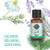 Garden Of Life Essential Oils 100 Organic And Pure Lavender Essential Oil Plus Chamomile & Fir Balsam - Calm Blend For Diffusers Home Skin & Body Care Calming Relaxing Soothing 0.5 Fl Oz Garden Of Life Essential Oils 100 Organic And Pure Lavender Essential Oil Plus Chamomile & Fir Balsam - Calm Blend For Diffusers Home Skin & Body Care Calming Relaxing Soothing 0.5 Fl Oz