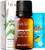 Gya Labs Spearmint Essential Oil For Diffuser & Lemongrass Essential Oil For Diffuser Set - Aromatherapy Grade Essential Oils Set - 2X0.34 Fl Oz - Gya Labs