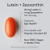 Sports Research Lutein And Zeaxanthin Capsules - Eye Health Support Supplement Made With Lute-Gen And Organic Coconut Oil - Vegan Friendly & Non-Gmo Verified 120 Veggie Softgels Sports Research Lutein And Zeaxanthin Capsules - Eye Health Support Supplement Made With Lute-Gen And Organic Coconut Oil - Vegan Friendly & Non-Gmo Verified 120 Veggie Softgels