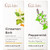 Gya Labs Cinnamon Bark & Peppermint Essential Oil Set 034 Fl Oz
