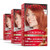 Revlon Colorsilk With Bond Repair Complex Permanent Hair Color 100% Gray Coverage Ammonia Dye Vegan Keratin 45 Bright Auburn 3 Pack Revlon Colorsilk With Bond Repair Complex Permanent Hair Color 100% Gray Coverage Ammonia Dye Vegan Keratin 45 Bright Auburn 3 Pack
