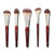 Bk Beauty Core Line Extension Face Set Professional Makeup Brush Set For Liquid 5Pc
