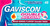 Gaviscon Double Action Mixed Berries Flavour Chewable Tablets, 48 Tablets Gaviscon Double Action Mixed Berries Flavour Chewable Tablets, 48 Tablets