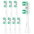 Cavzru Brush Heads Compatible With Old Spinbrush Handle 8 Pack Cavzru Brush Heads Compatible With Old Spinbrush Handle 8 Pack